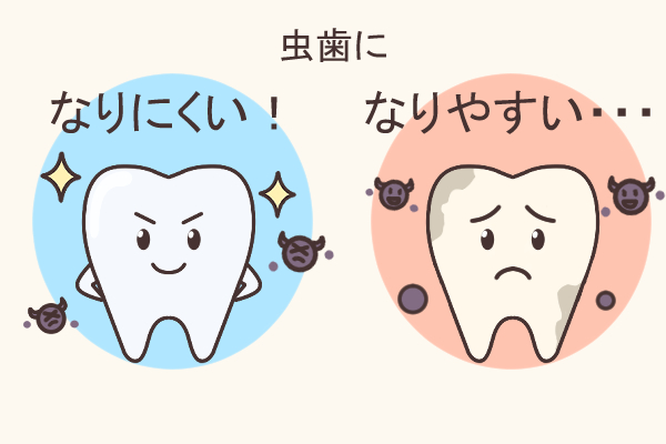 虫歯になりやすい歯の違い